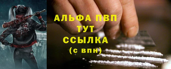 СК Арсеньев