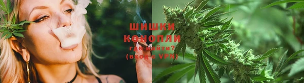 spice Аркадак