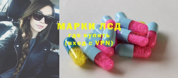 spice Аркадак